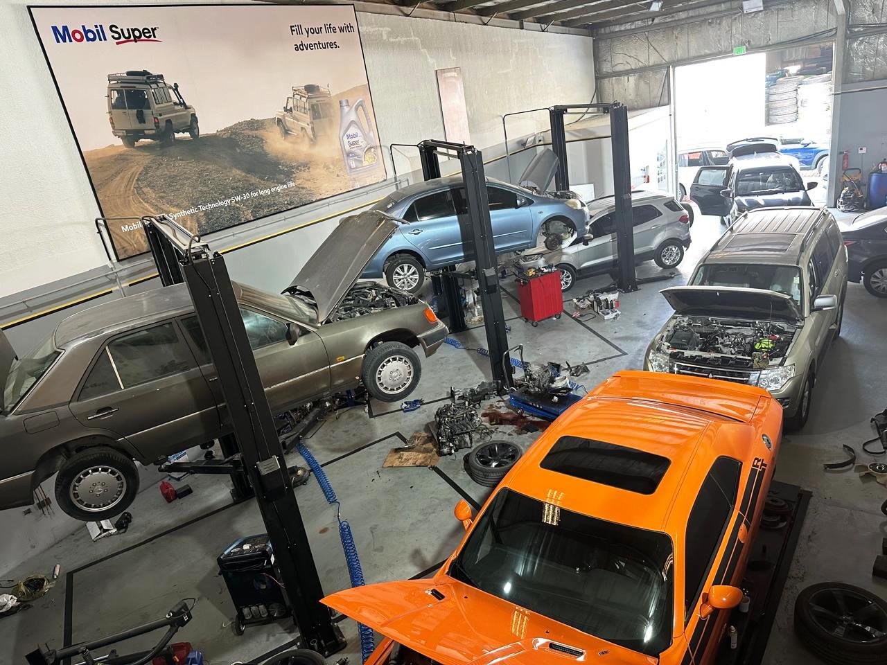 WhatsApp Image 2025-11-03 at 14.30.19